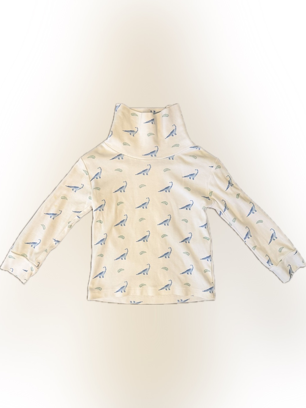 Little English Dinosaur Turtleneck